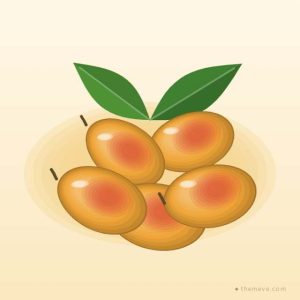 মুকুল বাগানের আম — মৌসুমি বক্স — আম্রপালি
