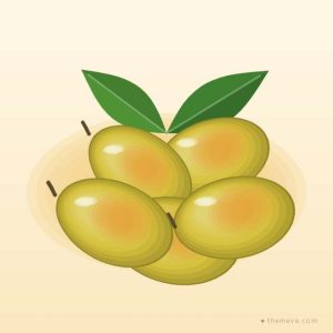 মুকুল বাগানের আম — মৌসুমি বক্স — হিমসাগর