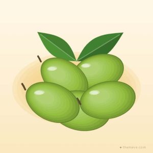 মুকুল বাগানের আম — মৌসুমি বক্স — ল্যাংড়া